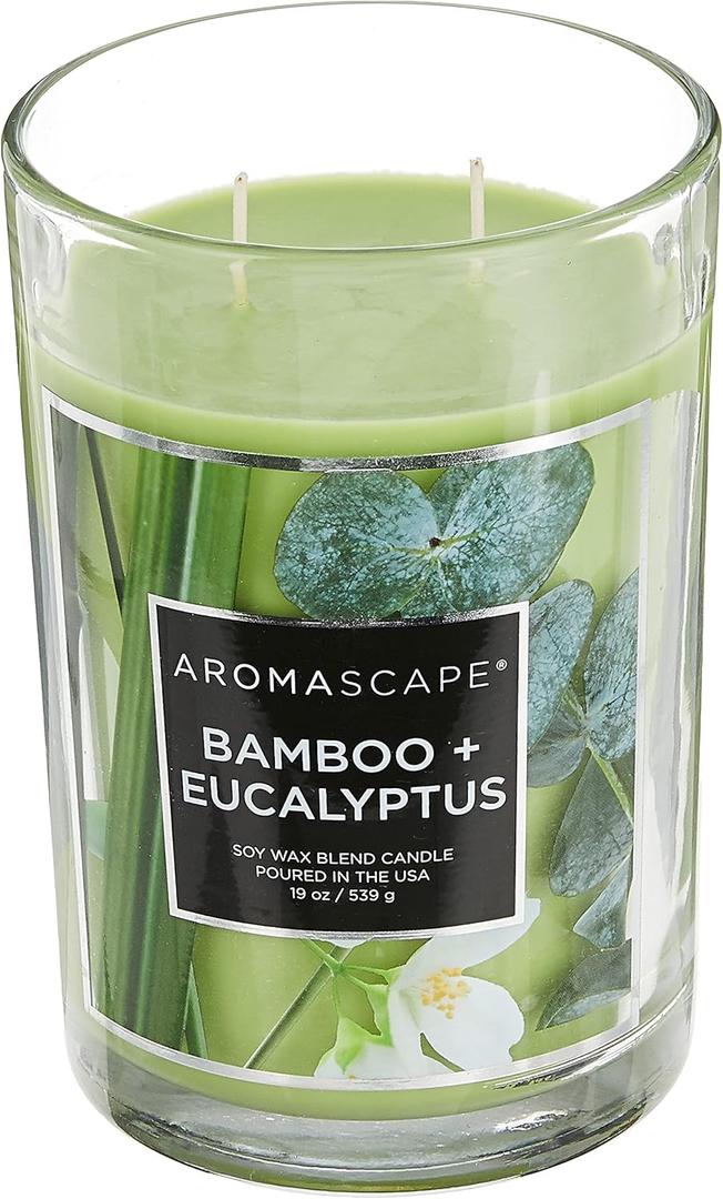 PT41900 2-Wick Scented Jar Candle, Bamboo & Eucalyptus, 19-Ounce, Green (1.18 Pound (Pack of 1))