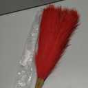Pampas Grass Small Black&Red, 30 Pcs 17" Halloween Steems Faux Pampas Grass Short Decor, Pompas Grass Flower Arrangement and Vase Filler for Boho Home Wedding Decoration