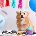 40Pcs Dog Birthday Decorations Pawty Birthday Plates and Napkins Set Supplies for Baby Shower Dog puppy Party Decorations