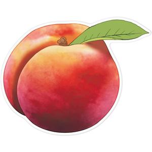 Azeeda 'Sweet Peach Fruit' White Premium Vinyl Decal Sticker  Waterproof, Durable & Easy to Apply - Ideal for Car Bumpers, Windows, Bins and More (DW00142706) (21cm x 21cm)