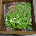 Flower Craft Kits Toys Valentines Day Gifts for Kids, Arts and Crafts for Girls Ages 4-6-8, DIY Flower Making Kit for Kids, Art Craft Activity Toys, Birthday Gifts for 4 5 6 7 8 9 Year Old Girls Boys