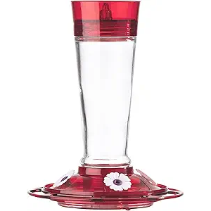 More Birds Bird Health+ Ruby Hummingbird Feeder, Glass Hummingbird Feeders for Outdoors, 4 Feeding Stations, 10 Ounces, Ruby Red