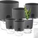 Planterhoma 6 Pack Self Watering Pots for Indoor Plants, 3.2/4/6 Inch Plant Pot Plastic Self Watering Planter for Orchid, African Violet, Small Clear Flower Pots with Drainage Holes and Wicking, Grey (Gray)