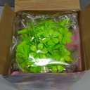 Zmpolir Craft Kits, Push-to-Create Bouquet Maker, Unicorn Toys for Girl Age 3-12, Fabric Bouquet Toys, Kids DIY Arts and Crafts Kit, Creative Birthday Gifts for 3 4 5 6 7 8 9 10 11 12 Year Old Girls