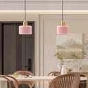 Modern Glass Pendant Light, E26 Hanging Light Fixture with Gold Metal Socket, Adjustable Cord Ceiling Lighting for Kitchen, Dining Room, and Bedroom (Pink)
