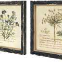 NIKKY HOME Botanical Wall Art Set of 2, Vintage Botanical Prints Wooden Framed Floral Plant Pictures Poster Decor for Bathroom Bedroom Living Room Office, 10x10 Inch