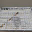Large Portable Durable Metal Travel or Veterinary Easy Collapsable Parrot Bird Carrier Beaks Proof Carrier Cage Easy Clean Pull Out Tray Stainless Steel Feeder Bowls Natural Wooden Perch, Pattern Name: 24" x 16.5" x 20.5"H
