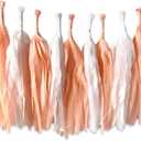 ALLHEARTDESIRES , Peach Tassel Garland, One Sweet Peach Birthday Party Decor, Peach Baby Shower, Peach First Birthday Backdrop, Peach Bridal Shower Wedding Hanging Décor Supplies,3 Pieces