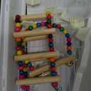 Basic Bird Cage, 24.8inch Parrot Cage (24.8" x 14.6" x 11"),Bird Cage with Ladder, Horizontal Bar, 2 Feeders, and Swing