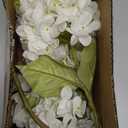 mizii 4Pcs White Artificial Hydrangea Flowers Large Fake Silk Hydrangea Flower with Leaves Stems Realistic Faux Hydrangeas Decorations for Wedding Table Centerpieces Vase Home Decor (White)