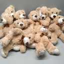 MaoGoLan 12Pcs Bulk Soft Teddy Bears 14 inch Stuffed Animals Plush Bears for Kids Girls Valentines Gifts, Wholesale Stuffed Animal Classic Teddies Christmas Gender Reveal Decor (Machine Washable)