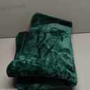 Softlife 2x6 Green Runner Rug for Bedroom Living Room, Washable Soft Fluffy Hallway Runner Area Rugs, Non-Slip Indoor Carpet for Kitchen Laundary Room Decor Entryway Bathroom