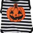 Petitebella Cute Pumpkin Puppy Dog Shirt (Striped, Medium)