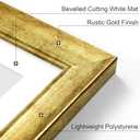 Vittanly 18x24 Picture Frames Set of 2, Ornate Vintage Photo Frame for Wall Mount, Display 16x20 Pictures with Mat or 18x24 without Mat, Rustic Gold