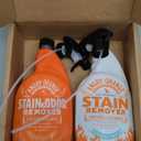 ANGRY ORANGE Pet Stain Remover for Dog Urine and Stains - Enzyme Cleaner - Citrus + Fresh Sent - Value 2 pack