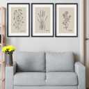 TQianJiang Set Of 3 Framed Vintage Botanical Prints Wall Art 16"11" Wildflower Pictures Wall Decor for Bedroom Bathroom Living Room Minimalist Line Drawing Neutral Tones Wall Hanging (Black)