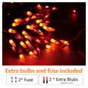 Brizled Orange Halloween Lights, 21.3ft 100-ct Incandescent Halloween String Lights Connectable, UL Certified Orange Light String, Black Wire Mini Light Set for Fall Season Holiday Thanksgiving Tree