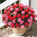 Artificial Faux Outdoor Flowers Plants for Spring Summer Decoration, Fake Silk Camellia UV Resistant Look Real for Planter Outside Front Door Porch Patio Balcony, 3 Large Bundles (Melon Red+Red)