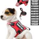 Service Dog Vest Harness and Leash Set+10 Patches for Puppy Small Dogs,Do Not Pet Emotional Support Dog Vest with 2 Soft Padded Handle for Everyday/Training (Red XS) (Extra-Small)