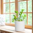 WSMKSZ 8 Inch Cylinder Plant Pots for Indoor Outdoor Plants, Medium Deep Flower Pots with Drainage Holes & Saucer, Decorative Plastic Planter Pots for Garden House Plants, White