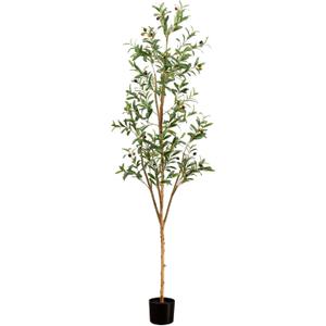 Artificial Potted Olive Tree - 6' - Green