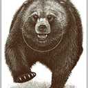 Alaska State Parks Bear Target