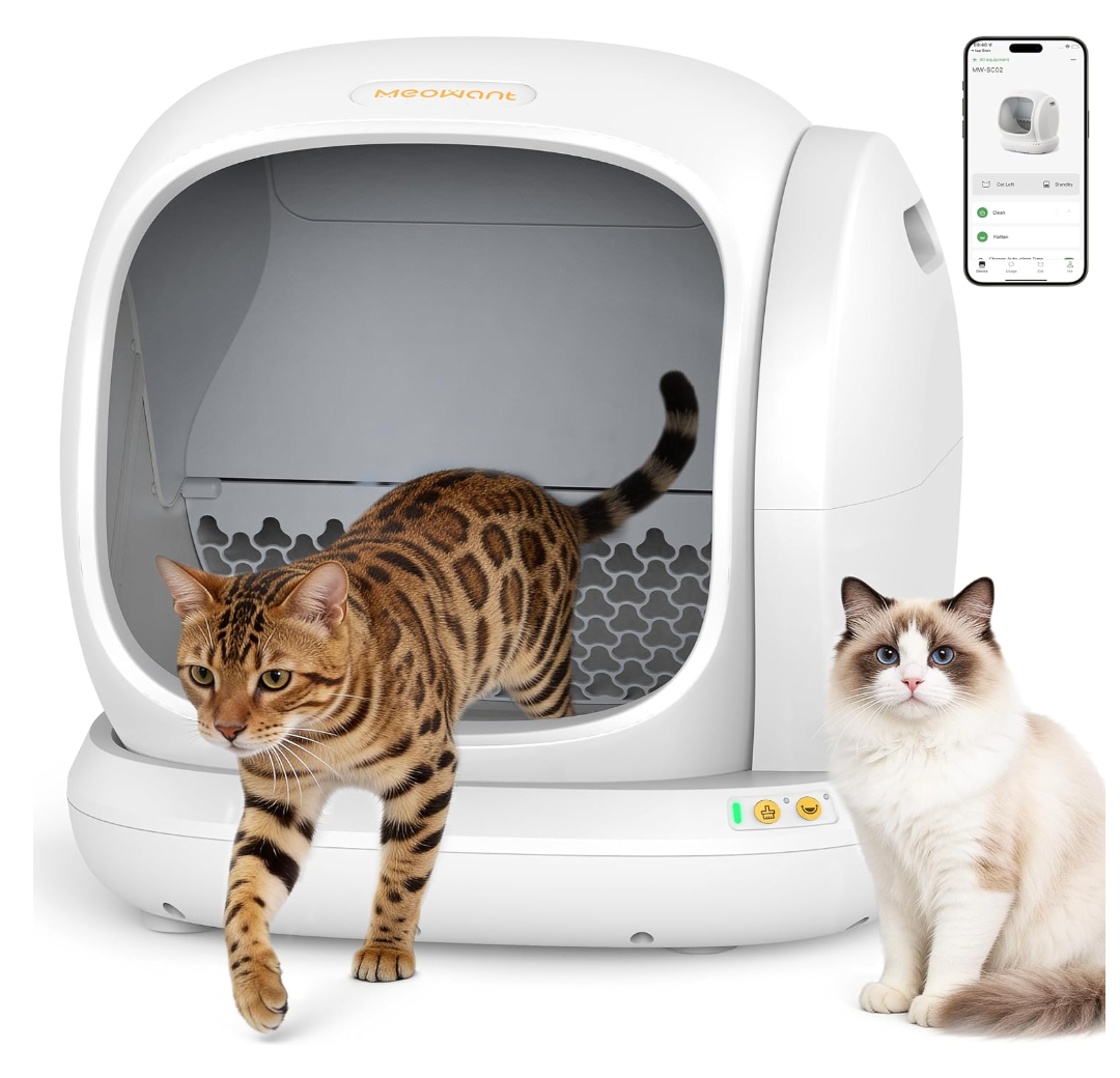 Meowant Self Cleaning Cat Litter Box - Open-Top Automatic Litter Box with APP, 0 Risk of Stuck Cats, Safer Automatic Litter Boxs, Low Entrance for Multiple Cats