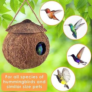 KATUMO Hummingbird Houses, Natural Coconut Bird Houses for Outside Hanging Hummingbird Swinging Nest, 2Pcs