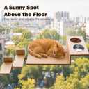 Cat Window Perch, Strong Suction Cups, Cat Window Hammock & Feeding Shelf