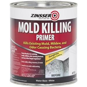 MOLD KILLING PRIMER QT (Pkg of 3)