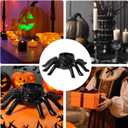Halloween Spider Candlestick Holders Cute Spider Shape Candle Stick Holders Ceramic Taper Candle Holder for Halloween Party Holiday Office Home Table Centerpiece Decor Friends Gift