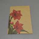 Amaryllis Pop Up Card, Merry Christmas, 16 Inches Real Size Display 3D Paper Flower Bouquet, Vase, Leaves, Forever Holiday Dcor, Greeting Cards with Envelope & Message Note, Gift for Xmas Season