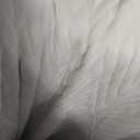 Twolike Frim King Mattress Furniture, 12 Black