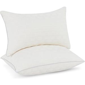 Leeden 12x20 Pillow Insert Set of 2 - Firm and Fluffy Lumbar Pillow Inserts, Rectangle Interior Sofa Pillow Inserts, Decorative Pillow Insert Pair - Beige Couch Pillow