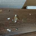 Cat Litter Box Enclosure, Modern Hidden Litter Box Furniture with Scratch Pad, Indoor Cat Washroom House End Table, Entryway Bench for Livingroom (Walnut) (Brown)