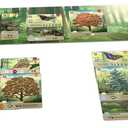 Lookout Games Forest Shuffle Card Game - Create an Ecological Paradise! Clever Strategy Game for Kids & Adults, Ages 10+, 2-5 Players, 60 Min Playtime, ECO-Friendly Packaging