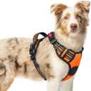 rabbitgoo Dog Harness for Large, No Pull Pet Harness with 3 Buckles, Adjustable Soft Padded Pooch Vest with Instant Control Handle, Easy Walking Reflective Pet Vest for Large Dogs, Orange, L
