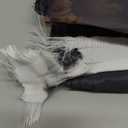 Probsin 250 Anniversary Flag 3x5 Ft Double Sided 3 Ply Eagle 250 Years of Freedom 1776-2026 250th Birthday Patriotic Signs Hanging Decor for Room House Welcome Photo Backdrop with Brass Grommets