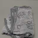 41" x 30" Dog Blankets for Medium Dogs, Cat, Premium Soft Dog Blankets for Small Dog Washable, Puppy Blanket Dogs Essentials for Puppies (Grey)