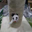 Small Cat Tree, Green Cat Tree with Scratching Post, Hammock Toy Ball and Palm Leaves for Kittens, Cat Tower for Indoor