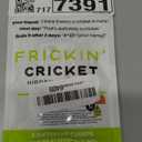 FUN delivery Frickin Cricket: Hidden Cricket Noise Maker Prank  Electronic Sound Toy for Office Humor, Dorm Rooms, Funny April Fools Pranks for Adults