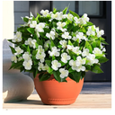 Waipfaru 5 Ppcs Artificial Flowers for Outdoors, UV Resistant Faux Flowers for Outdoor Planters, Silk Impatiens Bouquet White Spring Artificial Plants for Garden Porch Patio Balcony Yard Decoration
