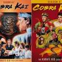 Cobra Kai - Season 1 2 3 & 4 / The Karate Kid : 3-Movie Collection [Martial Arts DVD 4-Pack], Format: DVD
