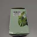 LePe Crushed Fire Glass,Broken GlassDecorative for Resin Art, Fire Pits, Potted Plants, Garden and Indoor Use, 3-6mm Fire Pit Glass, 1 Pound in Jar(Jade Blue)