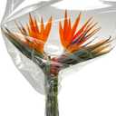10 Strelitzia fresh cut flowers Elegant gesture Looking up Gifts for home decoration birthdays anniversaries healing sympathy friendship and love