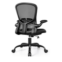 Ergonomic Office Chair for Long Hours & Lower Back Pain Relief  Memory Foam Seat Cushion, Adjustable Padded Lumbar Support, and Padded Flip-up Armrests, Ideal for Office or Study, Black