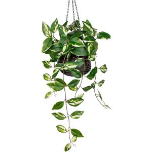 Oairse Artificial Hanging Plants Fake Hanging Plants with Pots Faux Golden Pothos N Joy Potted Plant Wall Plant with Basket Pot for Wall Shelves Bedroom Bathroom Indoor Outdoor