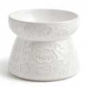 CERMOS Ceramic Raised Cat Bowl, Elevated Tilted Feeder for Neck Fatigue, Anti-Vomiting Design -Dishwasher Mircrowase Safe, Stable and Good Size for Kittens to Adult Cats with 240ml/16oz