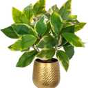 Oairse Articicial Plants Indoor Small Fake Plants in Pots Faux Pothos Nâ€˜ Joy Potted Plant Fake Indoor Plants with Gold Pots for Bathroom Living Room Office Desk Shelves