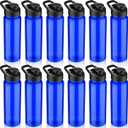 12 Pack Plastic Water Bottles 24 oz Blue Clear Water Bottles Bulk Reusable Sports Water Bottles with Spill Proof Lids for Gym Sports Home Office School